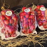 正宗云南！妮娜皇后！葡萄！1串 2串3串装！冰箱冷藏！京东快递！