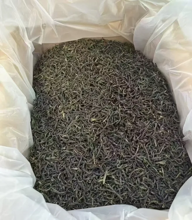 东郊老丛鸭屎香茶型幼雅腊北天然花果香奶韵香独特的山韵而且耐泡