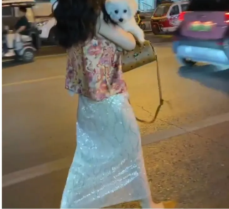 时尚潮流百搭精品女装zsx38167
