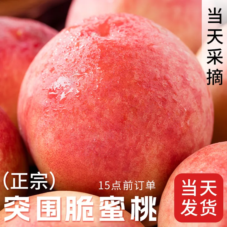 现摘突围脆水蜜桃5斤毛桃子当季现摘水果脆甜春雪蜜桃大果孕妇