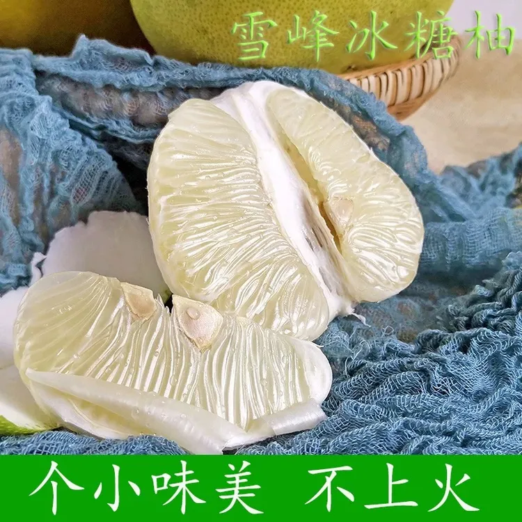 湖南怀化正宗安江雪峰冰糖柚老树爆汁清甜小土柚柚子送礼新鲜无酸