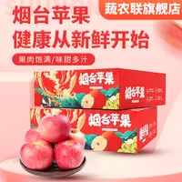蔬农联 山东烟台红富士烟台苹果水果酸甜8.5-9斤新鲜脆甜礼盒款