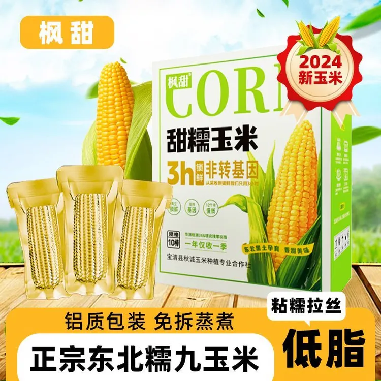 黄糯玉米香甜糯东北黏苞米早餐食材夜宵
