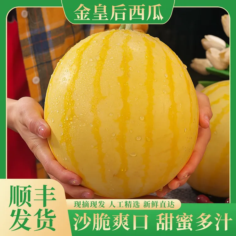 【顺丰】金皇后西瓜新鲜采摘黄皮红肉西瓜脆爽甜蜜多汁精选1个起
