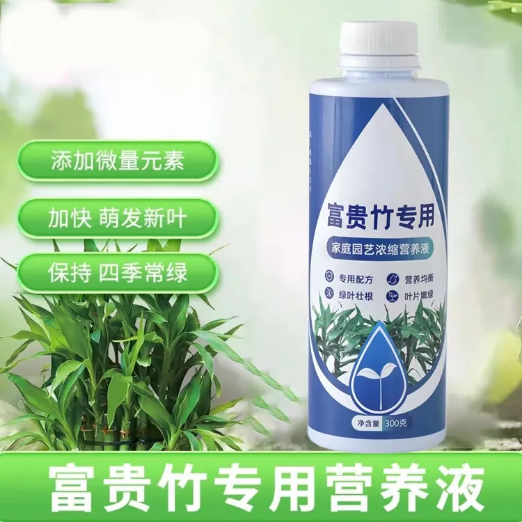 富贵竹专用营养液发财竹观音竹水培植物铜钱草绿植盆栽养花肥料