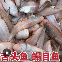 新鲜海捕野生龙利鱼踏板鱼舌头鱼冷冻发货