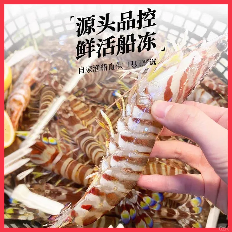 正宗九节虾超大竹节斑节虾鲜活速冻竹节虾特大号基围虾新鲜海鲜