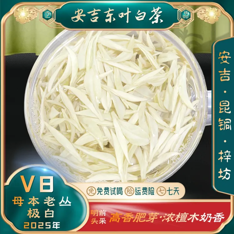 【迎新年助农福利极白V8】2025新茶安吉白茶昆铜新安四号浓檀木奶香