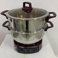 棕色电蒸锅多功能家用三层不锈钢蒸箱大容量新款LZ1
