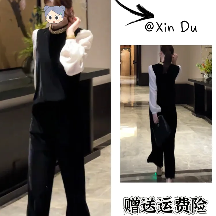 2025秋季新款时尚显瘦气质女士网红洋气两件套百搭款D22980