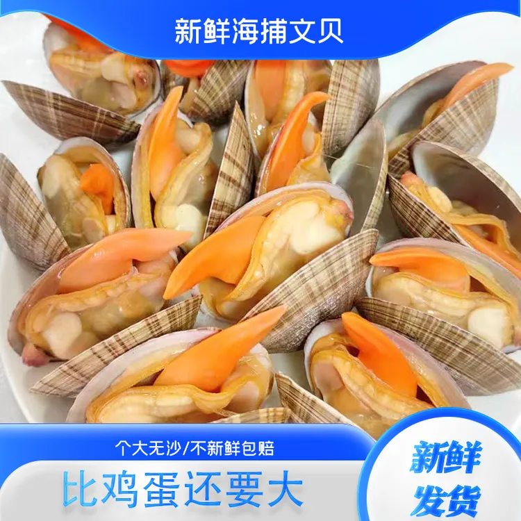 丹东特产文贝鲜活无沙真空文贝500g/袋肉质饱满鲜甜个大优质海鲜