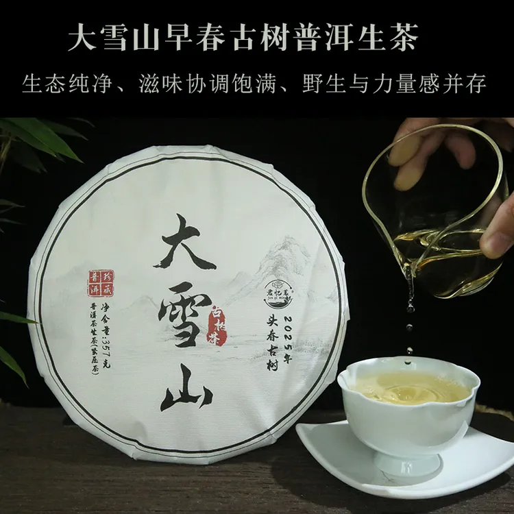 【大雪山】2025年古树普洱生茶饼茶口感醇厚甜度好357克饼