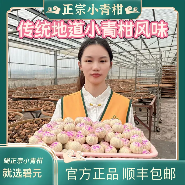 【2025紫钻小青柑】柑香茶柔新会茶坑老树七月头采柑十年陈老树金针