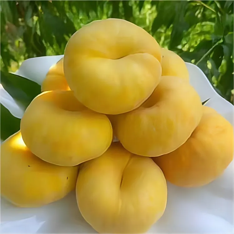 【衣哥专属】黄金蟠桃香甜多汁新鲜夏日应季水果
