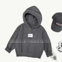 秋装男童简约韩系贴标连帽毛衣秋季百搭针织上衣SJ4226