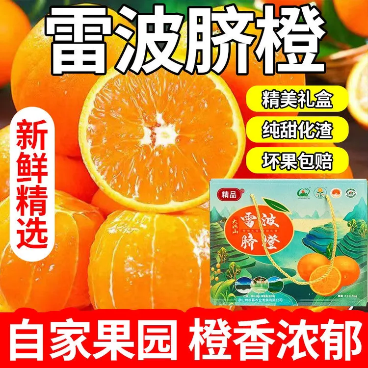 正宗四川雷波脐橙应季新鲜水果现摘现发非赣南奉节冰糖橙当季批发