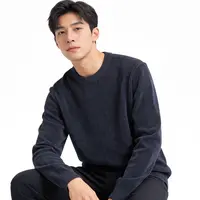 FNZAJ/32018A  男士长袖针织衫（海）