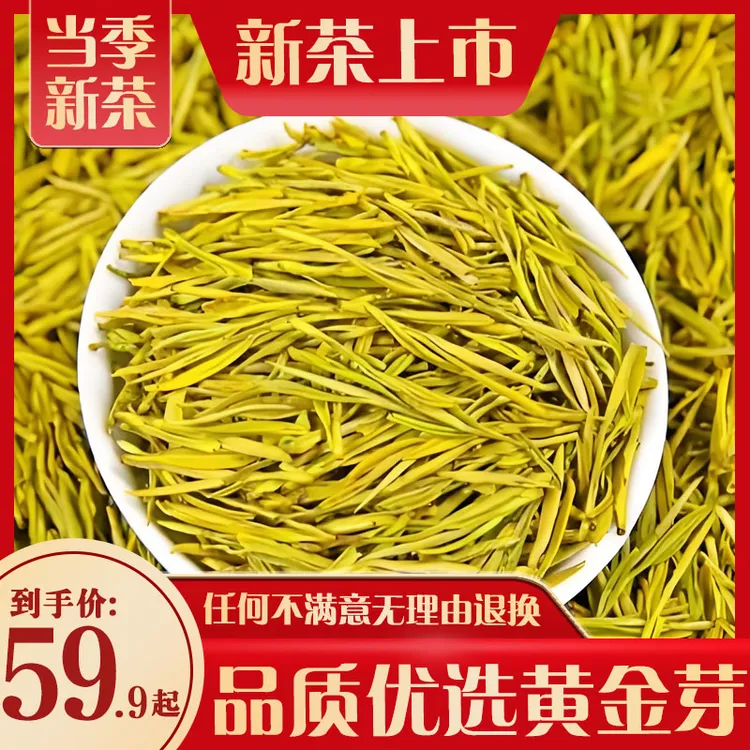 【热卖】头采黄金芽浓香耐泡黄金芽春茶高山黄金芽豆香耐泡绿茶