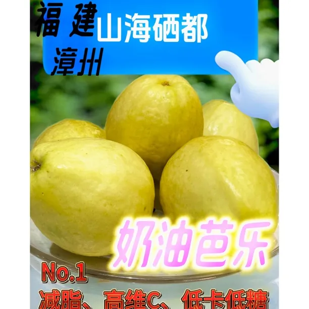 福建老树水果奶油芭乐包邮