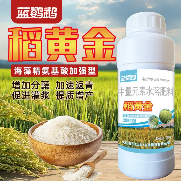 蓝鹦鹉稻黄金水稻控旺高产分蘖缩节籽粒饱满增产增收专用叶面肥料