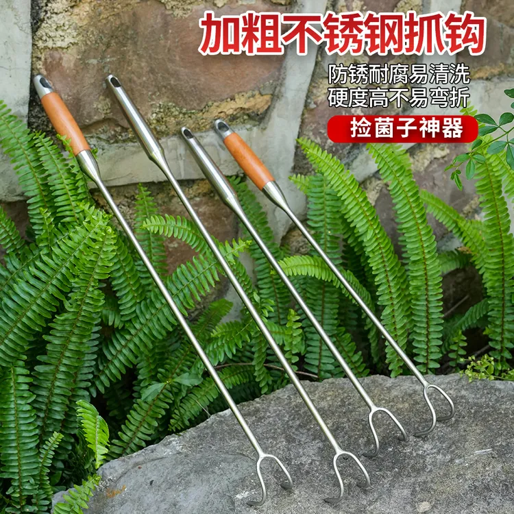 不锈钢找菌子神器捡蘑菇二齿小耙子拾野生鸡枞云南捡菌子钩子工具