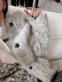 "天鹅湖" 嵿奢小湖羊皮毛一体稀缺限量皮草J25WT744