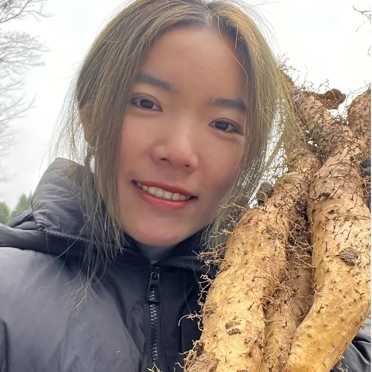 湖北恩施利川山药团堡正宗垆土新鲜现挖粉糯可口正宗