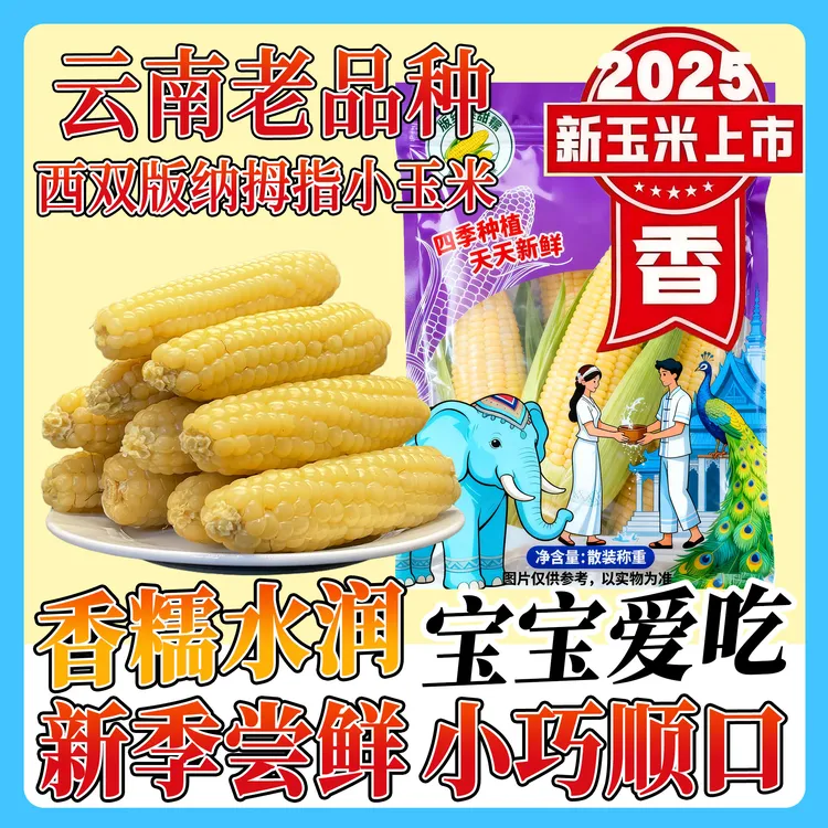 西双版纳拇指小玉米软糯香甜傣家甜黏手指玉米宝宝玉米棒早餐代餐