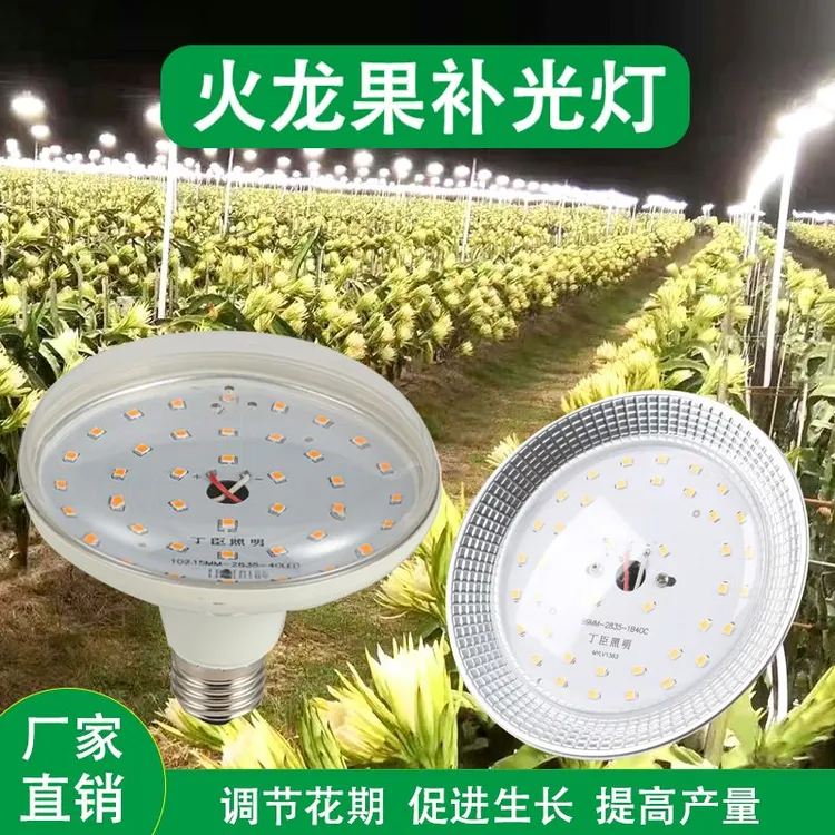 户外大棚火龙果专用补光灯生长灯助产量反季节植物果农的好帮手
