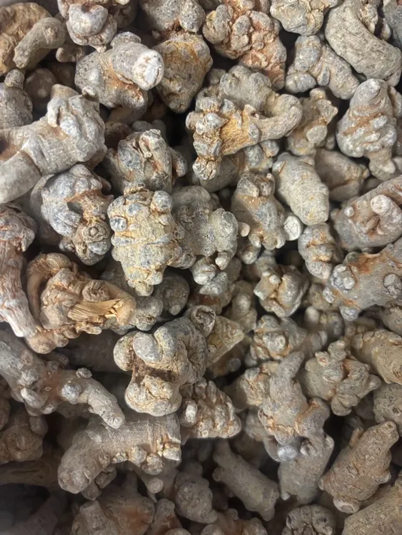 缅甸田七头大小均匀味甘适合煲汤煲水冲饮泡水