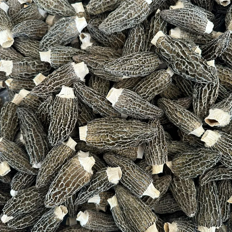 农家头茬羊肚菌十足干无硫熏煲汤首选好食材汤鲜味美营养健康