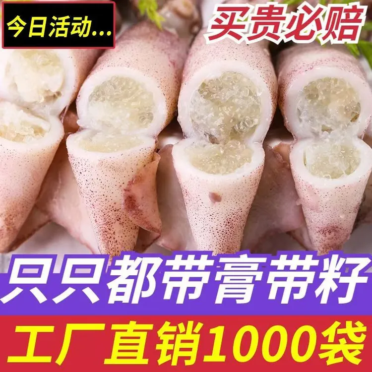 DS【到手3包45只】带籽海兔籽乌冷链速发公母随机