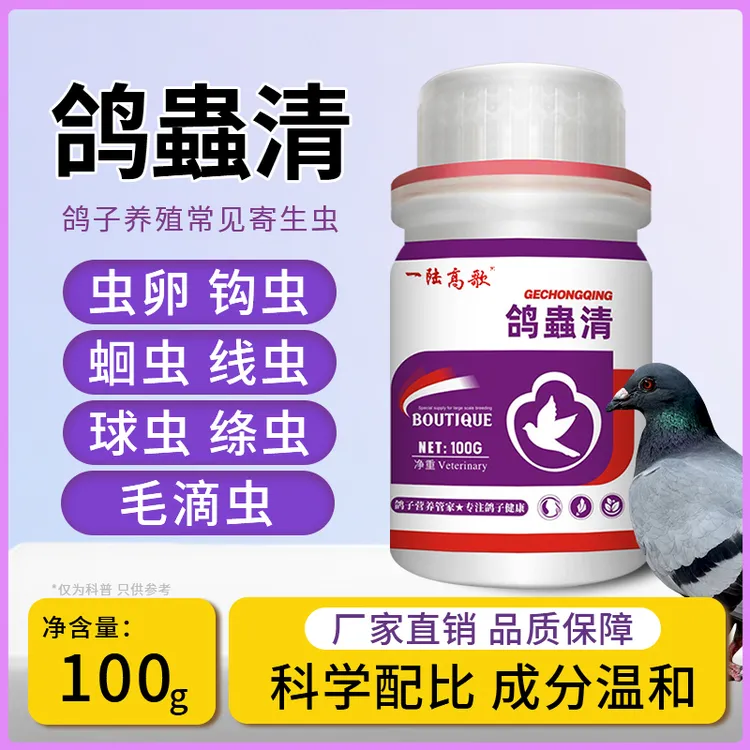 【一陆高歌】鸽爞清鸽子营养赛鸽健康使用肉鸽饮水拌料营养养殖产品