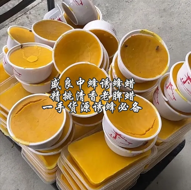 天然中蜂诱蜂蜂蜡精挑清香老脾诱蜂蜡一手货源诱蜂必备蜜蜂