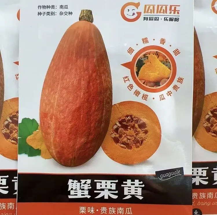蟹栗黄红贵族南瓜种子四季种植盆栽阳台