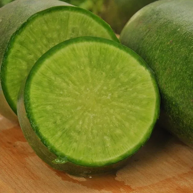 山东潍坊水果萝卜新鲜现挖脆甜多汁适合生吃凉拌煲汤