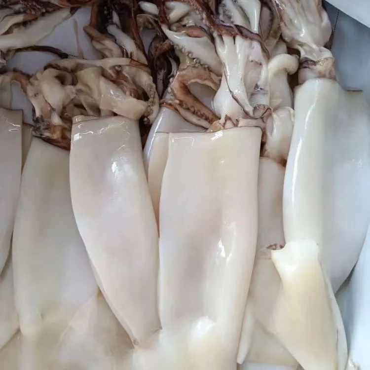 免清理去内脏鱿鱼6斤美味新鲜红烧顺丰直达野生整只烧烤辣炒