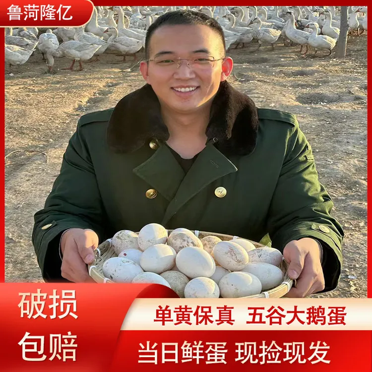  单黄鹅蛋保真12枚【120-140g/枚】现捡现发破损包赔礼盒装