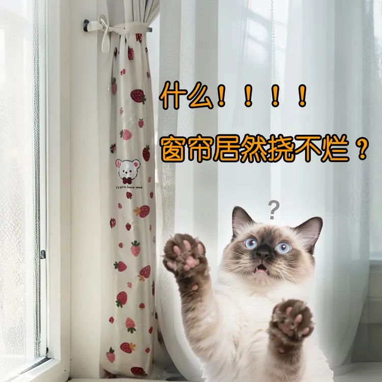 窗帘防猫抓保护套猫咪狗狗防抓防咬不怕挠抓还能防尘