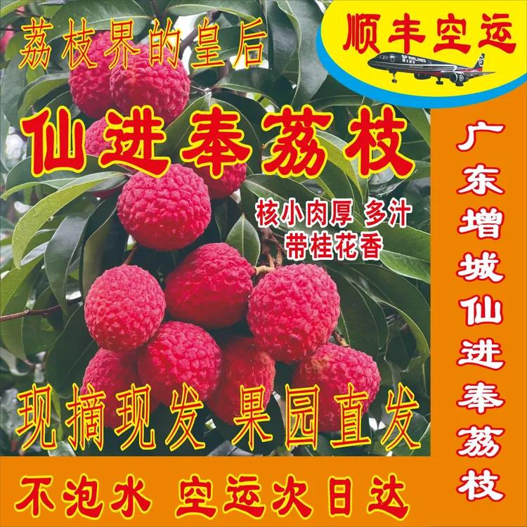 【顺丰次日达】广东增城仙进奉荔枝老树高端品种现摘现发新鲜包邮