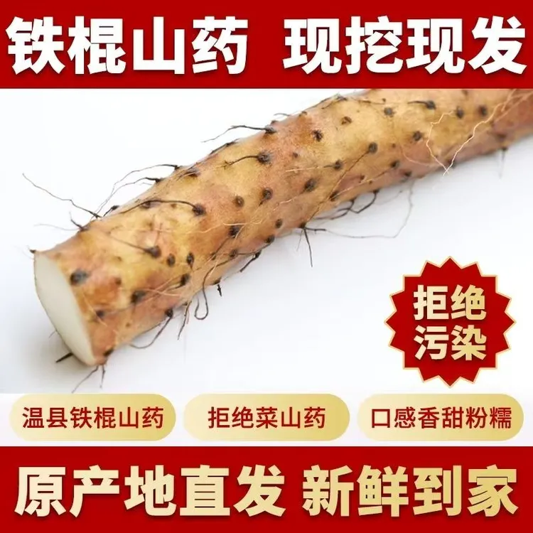 焦作温县原产地垆土种植新鲜铁棍山药营养健康可煮粥