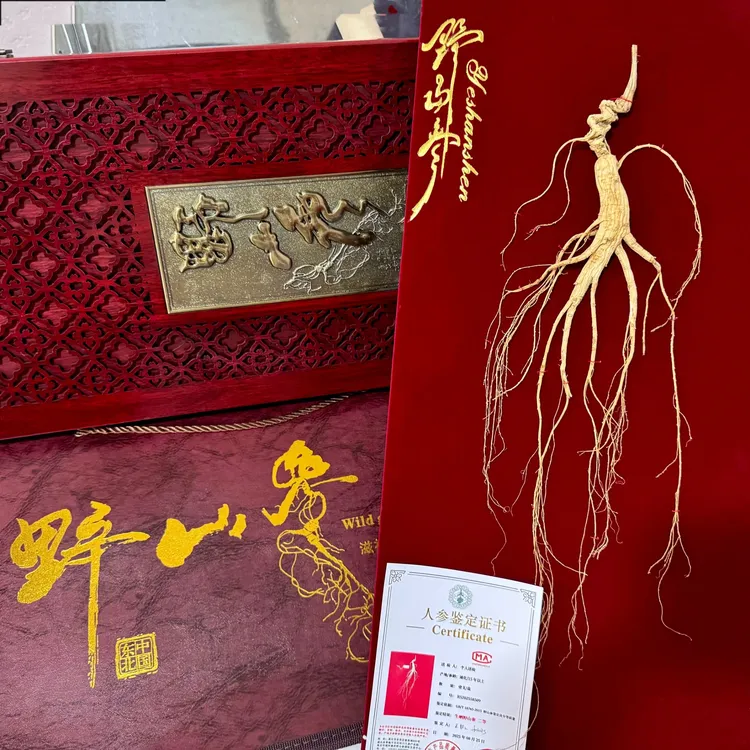 通化检二等野山参60板东北长白山人参礼盒 一盒一证送礼自用佳品