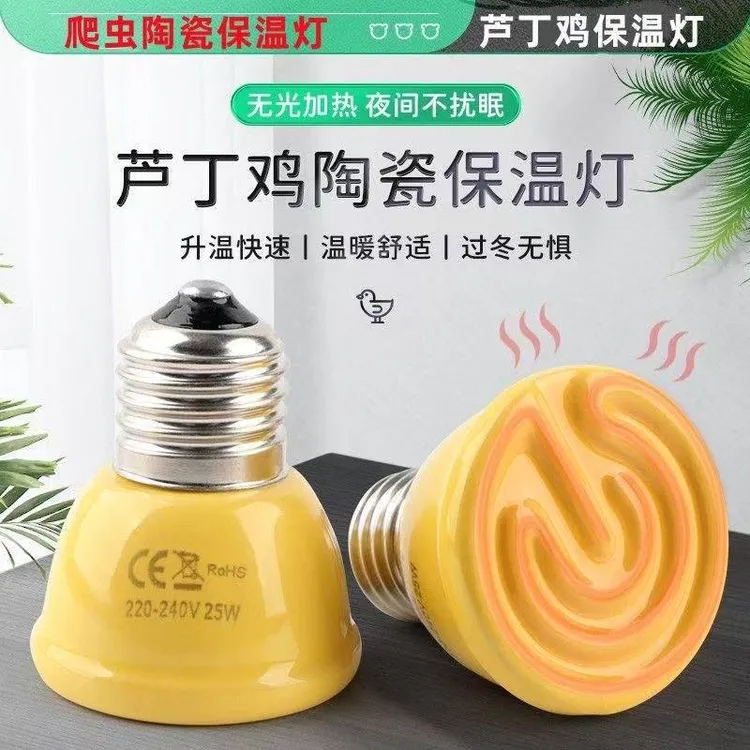 芦丁鸡 加热育雏陶瓷灯泡成年饲养箱养殖灯泡陶瓷灯泡