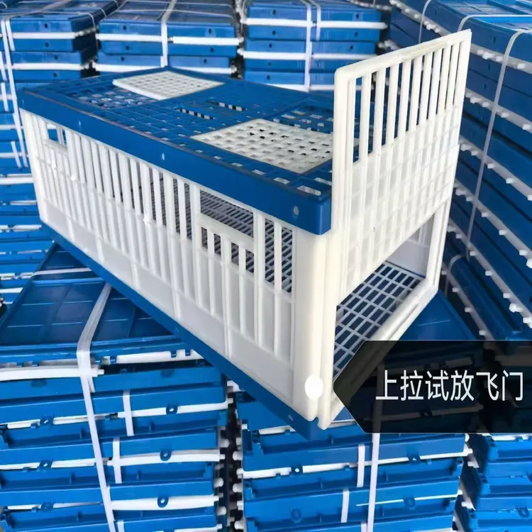鸽子放飞笼结实耐用易清理塑料放飞笼组装款不能折叠