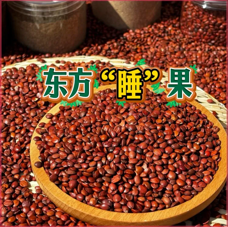 【酸枣仁】甄选太行山正宗河北道地产区内丘酸枣仁生熟酸枣仁粉