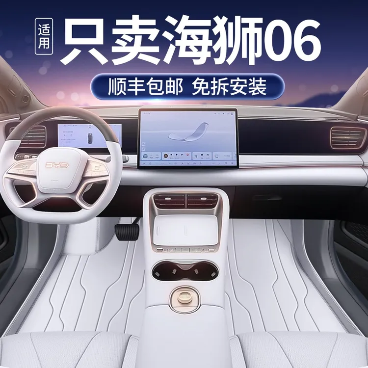 适用于海狮06脚垫全包围25款海狮06ev/dmi汽车改装饰配件星空地毯