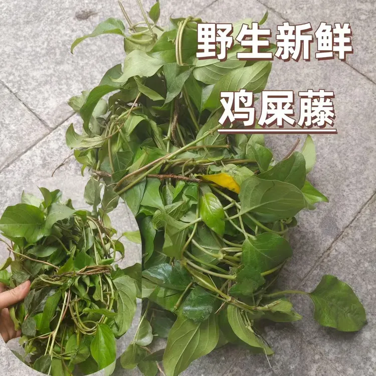 清远本地野生新鲜晒干鸡屎藤山上野货一斤包邮