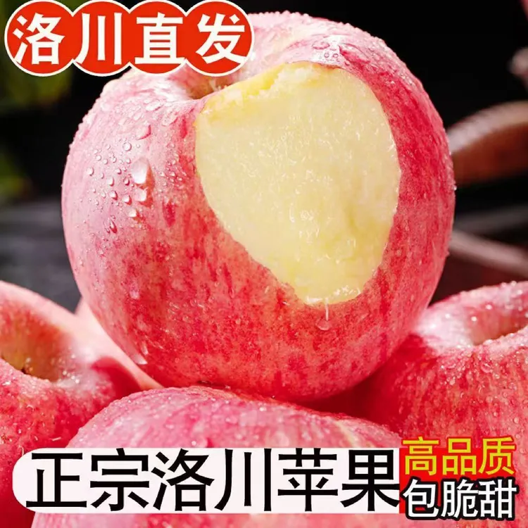 【助农甄选】陕西洛川苹果洛川红富士 皮薄脆甜产地直发 企业团购