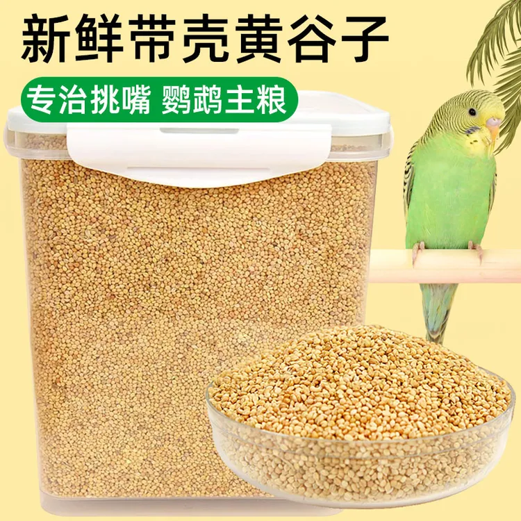 鹦鹉鸟粮带壳新黄谷子小鸟饲料小米主食专用带壳营养小米黄谷子