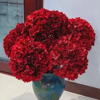 【5A级绣球 永生绣球红色 橙色】绣球必备鲜切花花束/可做干花